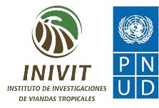 INIVIT-PNUD.jpg